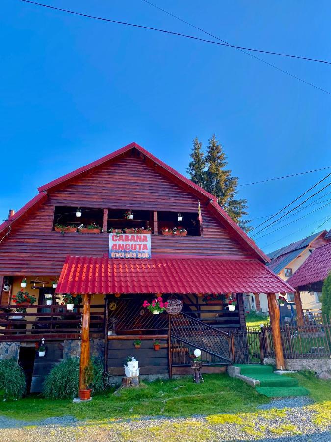Cabana Ancuta Hotel Vártop Kültér fotó