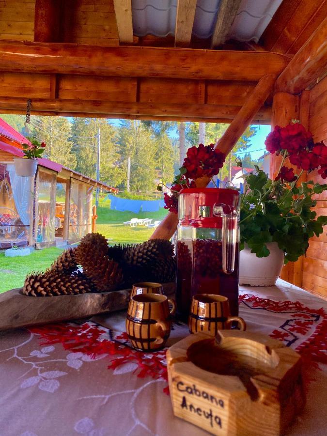 Cabana Ancuta Hotel Vártop Kültér fotó